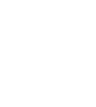 IT Consulting