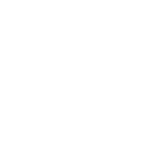 Cerberus Development, Inc.